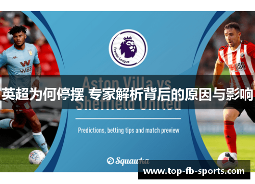 英超为何停摆 专家解析背后的原因与影响 英超为何停摆 专家解析背后的原因与影响